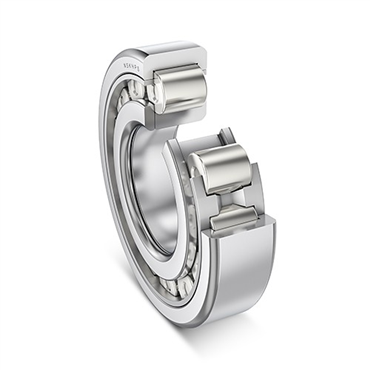 NSK Corp.NUP207EW